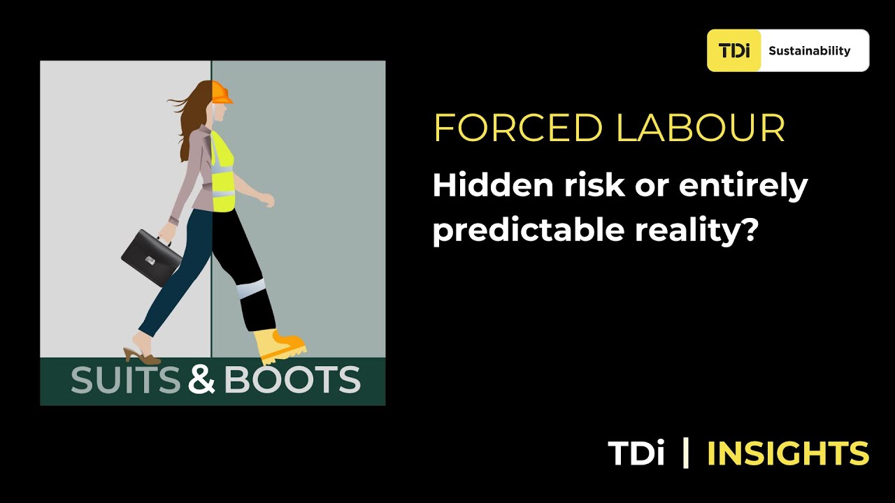 Forced labour | Hidden risk or entirely predictable reality?