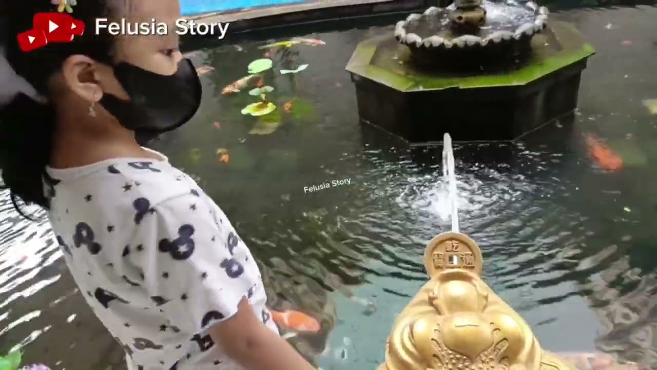 lihat kolam koi cantik