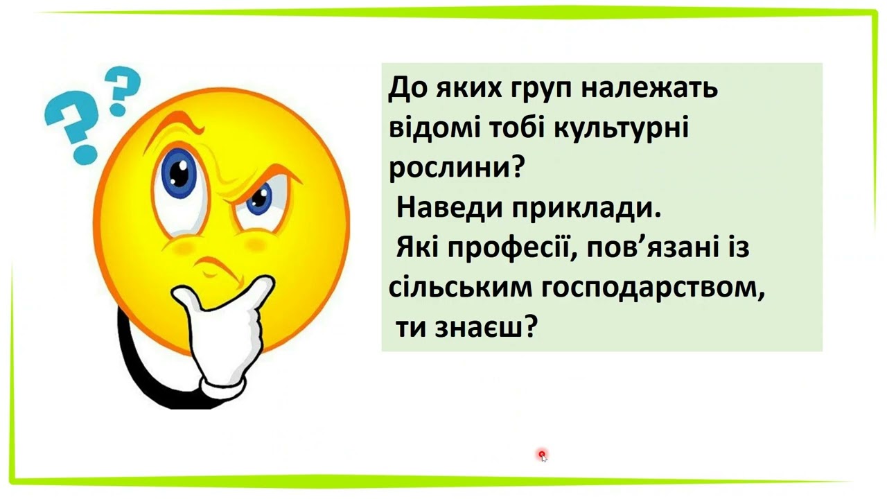 на які групи поділяють культурні рослини