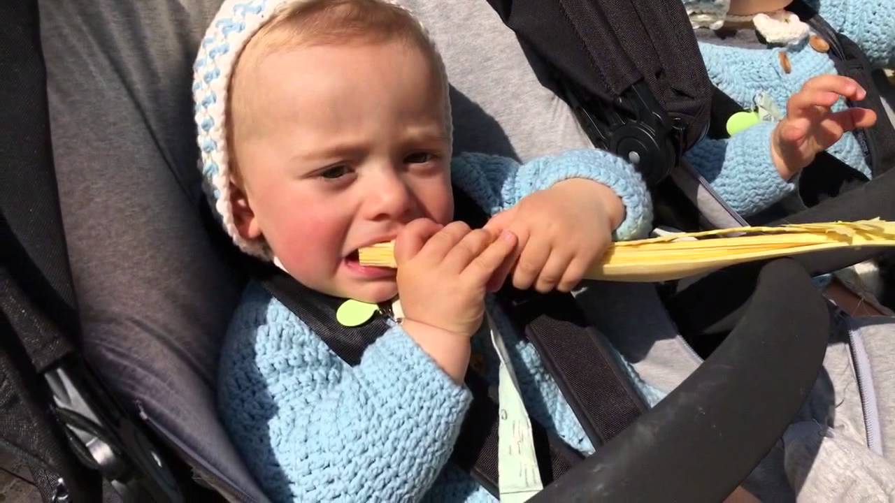 Vlog de Domingo de Ramos