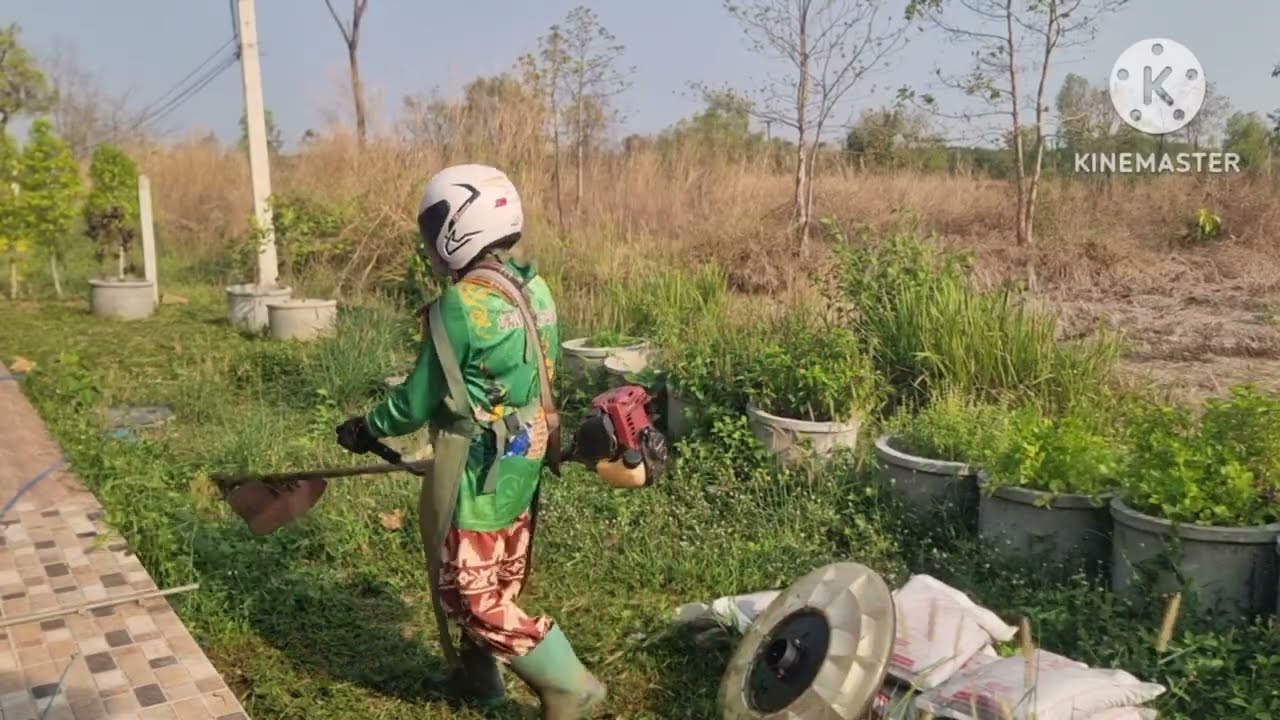 เจอแบบนี้,ต้องตัดให้เด็ดขาดอย่าให้มีที่ยืน,พริบตาโล่งเชียว,