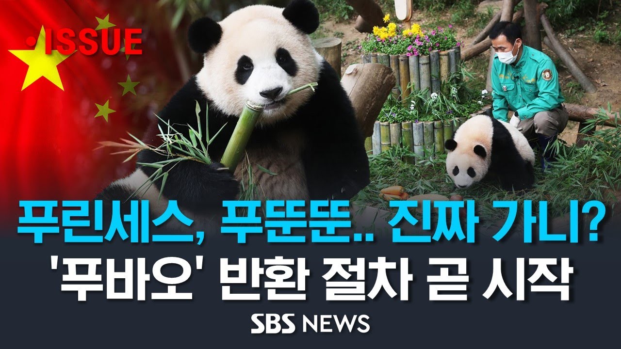 푸린세스, 푸뚠뚠, 용인 푸씨, 푸공주.. 