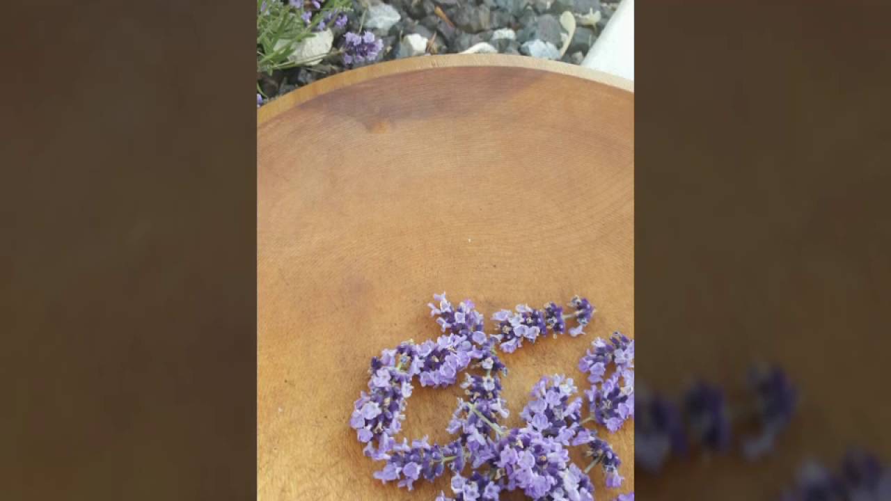 Making Lavender Jelly