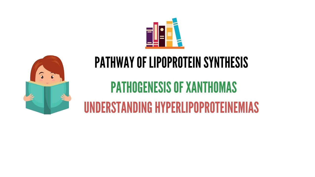 Synthesis of Lipoproteins | Pathogenesis of Xanthomas | Understanding Hyperlipoproteinemia