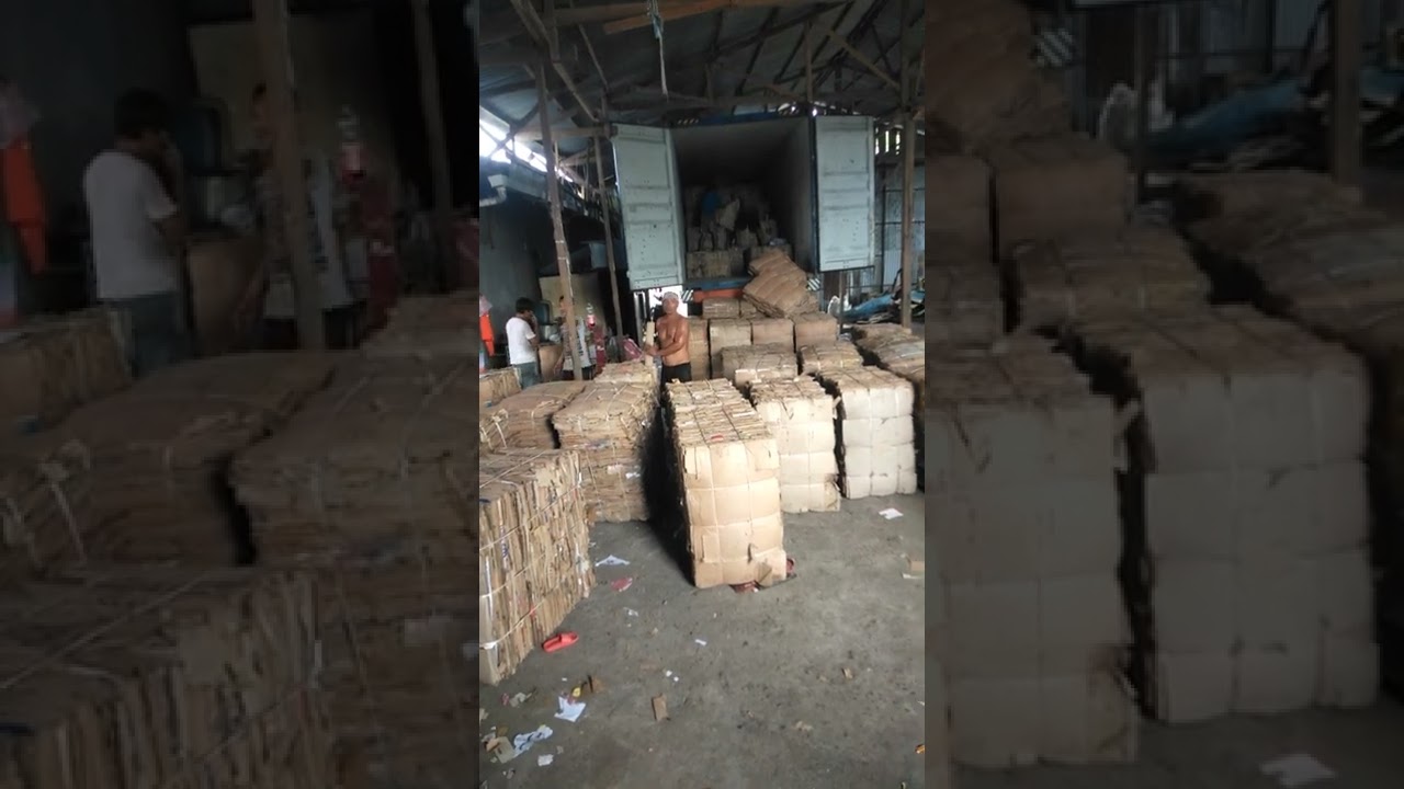 muat kardus bekas ke kontener