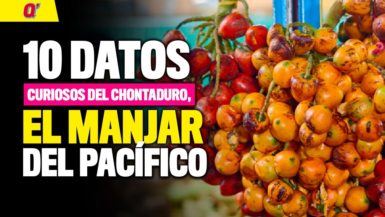 Día del Chontaduro: 10 datos curiosos de este majar del Pacífico | Qhubo Cali