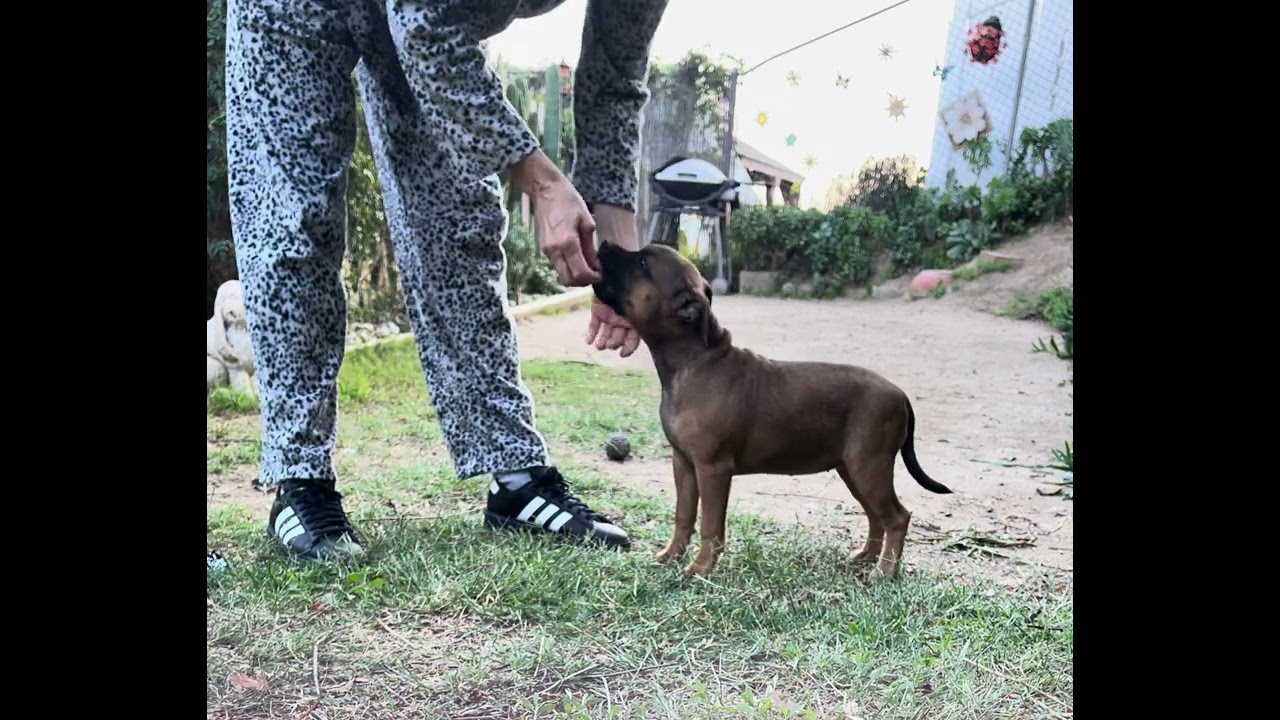 Taylor🧡16 weeks