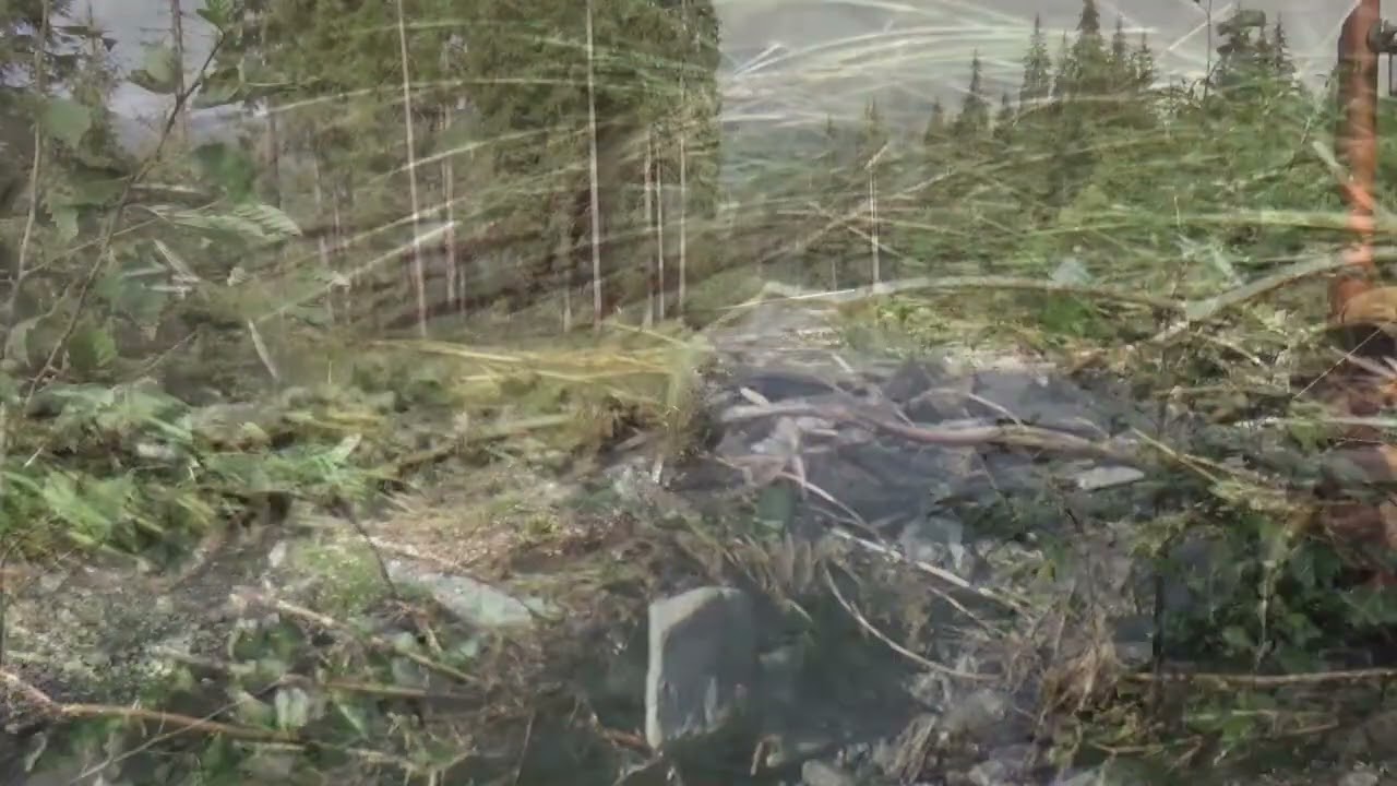 Enigma Organum- Nu bidden wij met ootmoed en ontzag- Caen