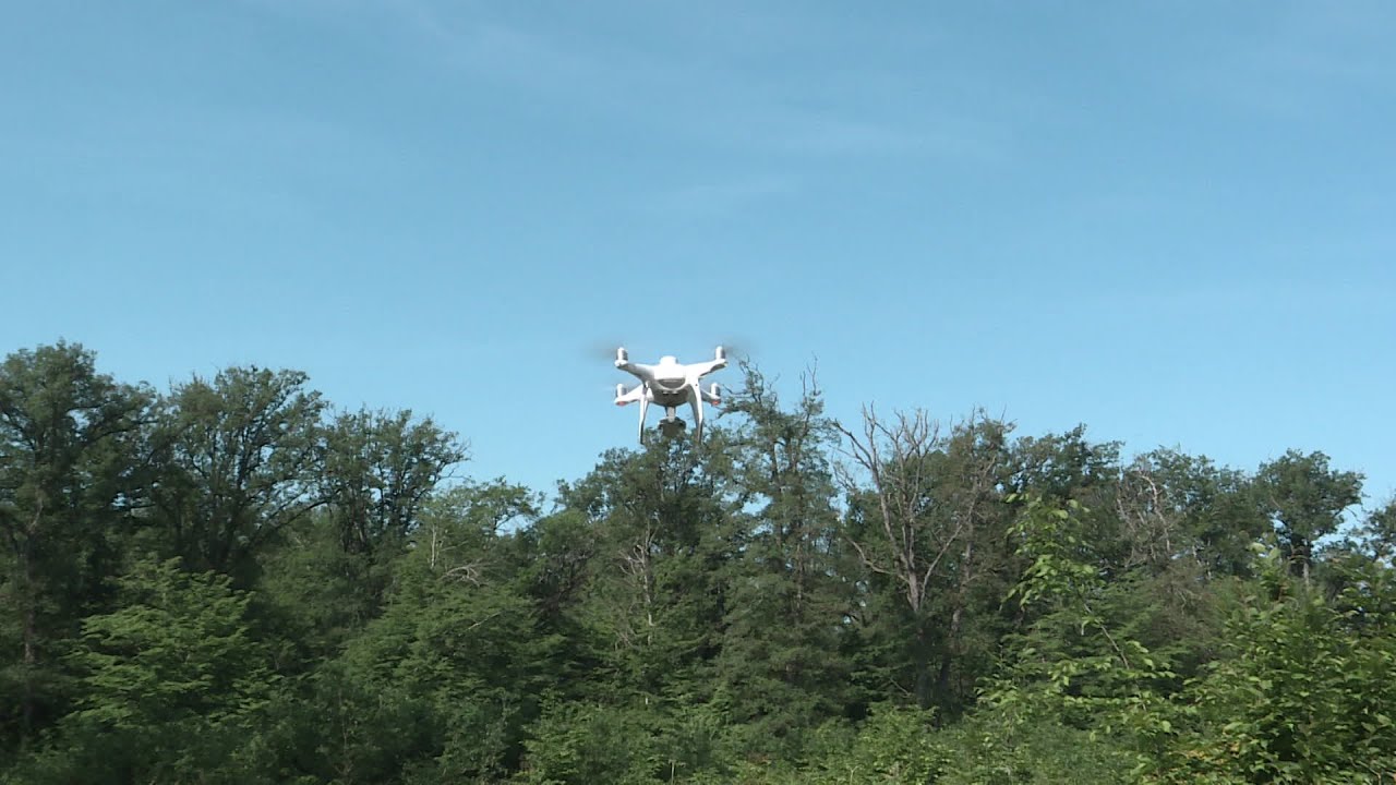 Pourquoi un drone survole la for&ecirc;t de Tron&ccedil;ais (Allier)