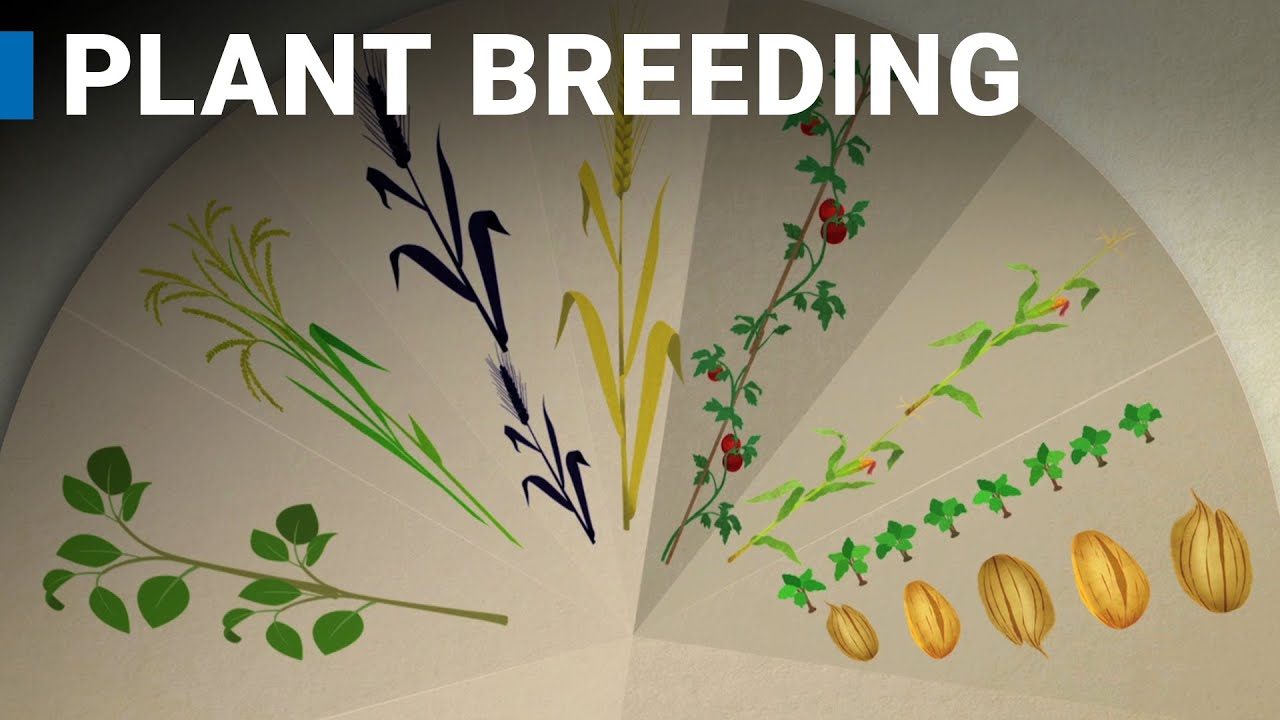 Using Nuclear Science to Boost Plant Biodiversity