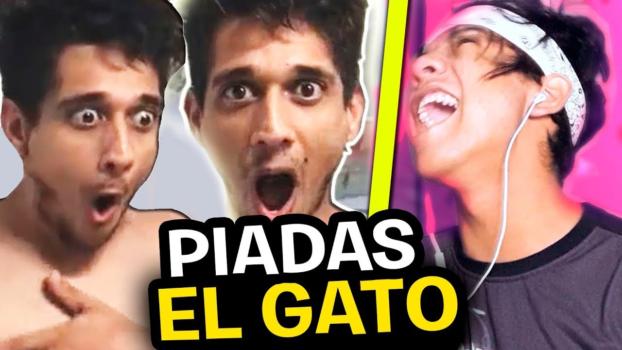 AS MELHORES PIADAS DO EL GATO! FREE FIRE