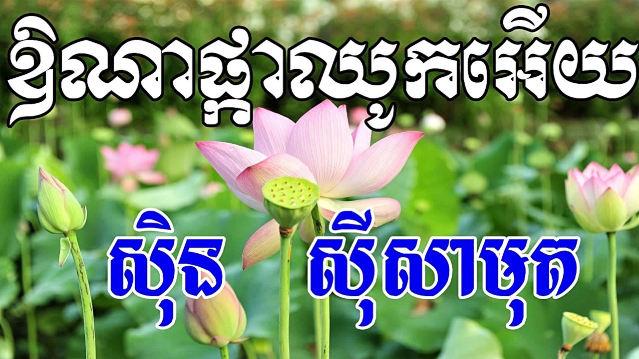 Or Na Pka Chhouk Euy, ឳណាផ្កាឈូកអើយ, Sin Sisamuth Song, Khmer Old Song