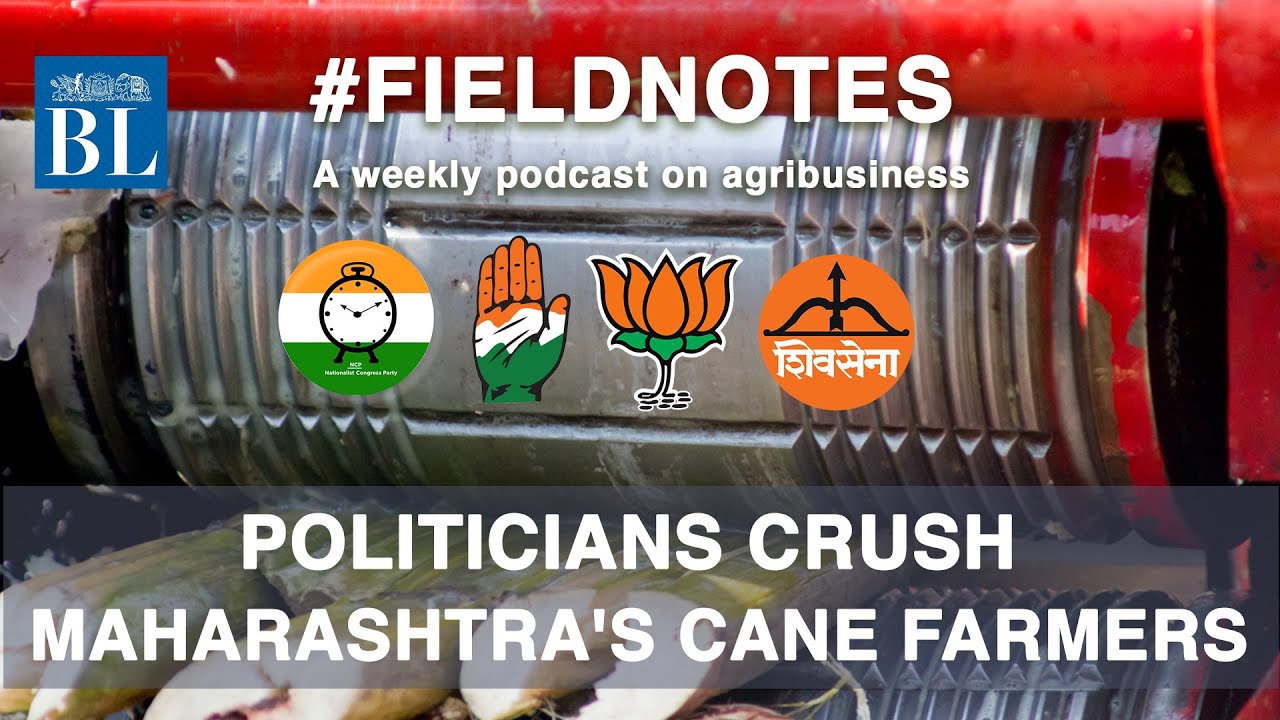 How netas of all hues are bleeding sugar co-operatives dry