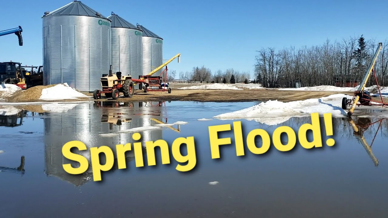 Spring Flood 2020