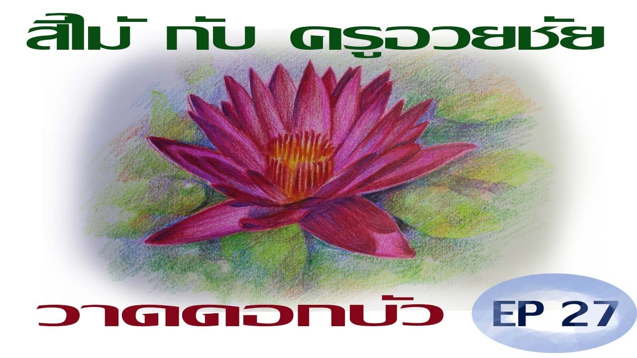 สีไม้ กับ ครูอวยชัย    EP  27    วาดดอกบัว