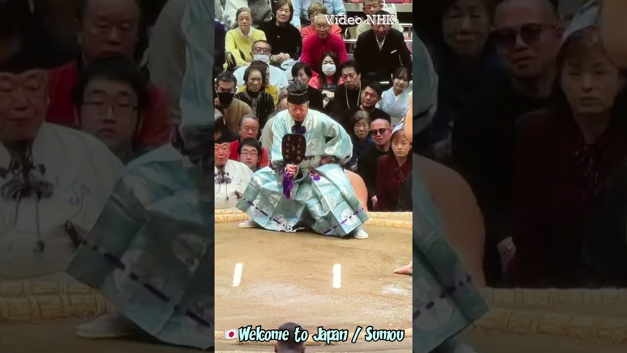 🇯🇵Traditional Japanese Culture Sumou  