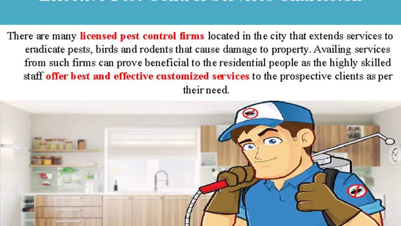Charleston Pest Control- Rid Your Home Of Unwanted Pests!
