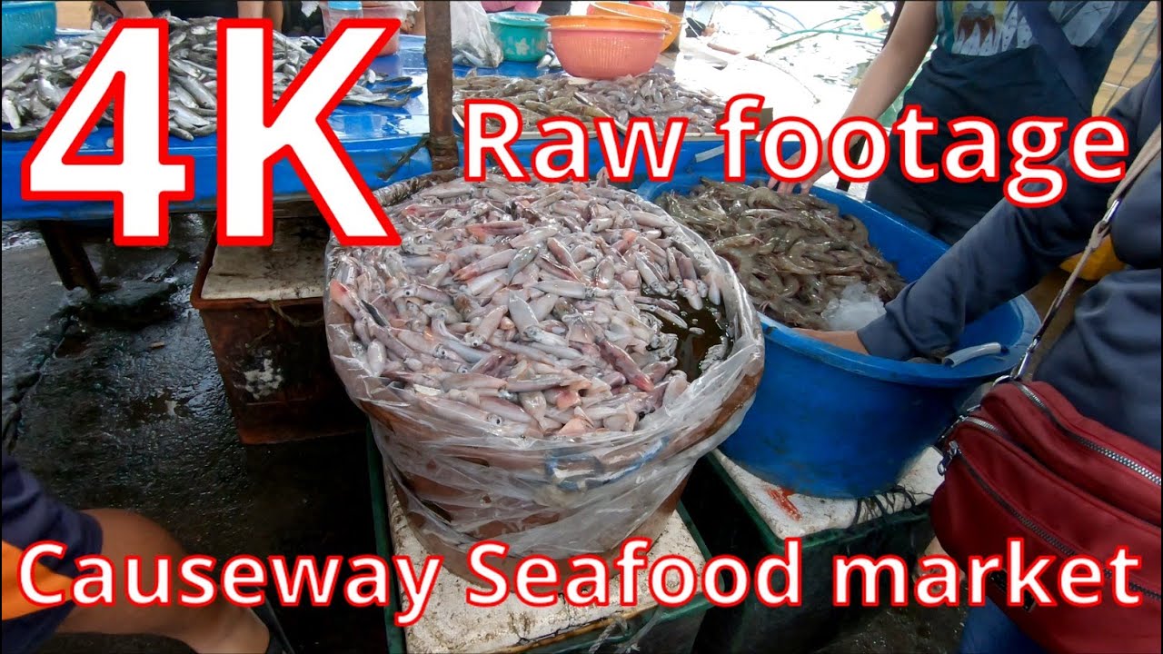 Causeway Seafood Market (2 of 3) | 4K RAW FOOTAGE | Bohol, Tagbilaran