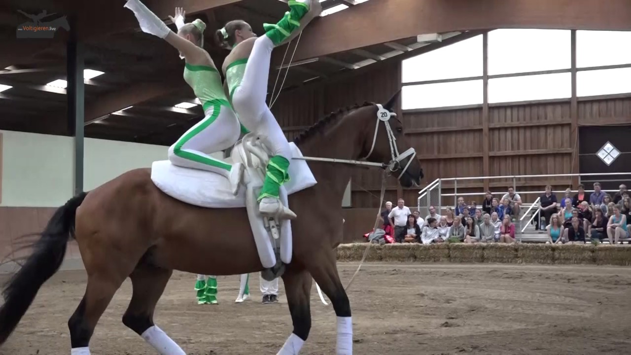 PSF Munderkingen DVP 2017 Final Kür