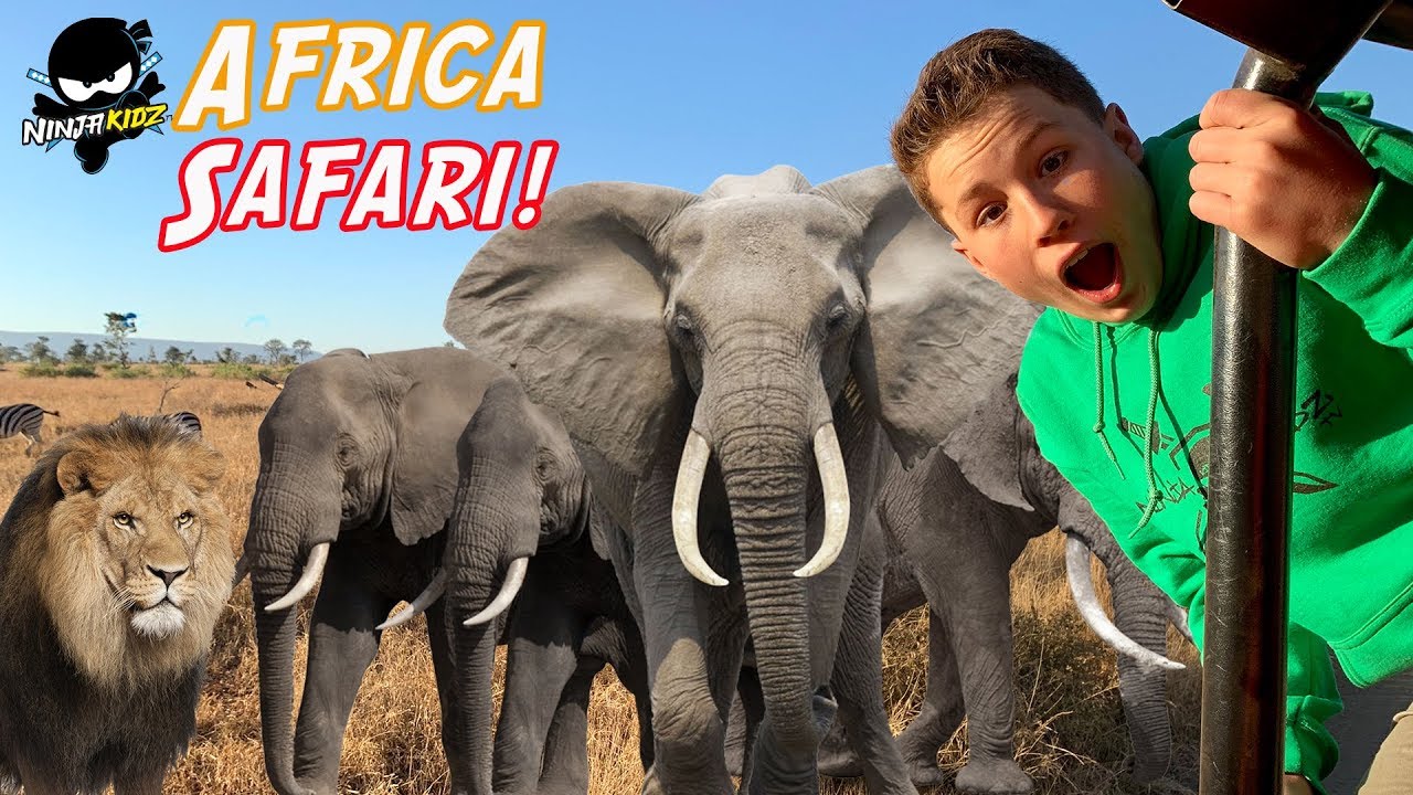 Ninja Kidz on Safari in Africa! We found BABY LIONS!