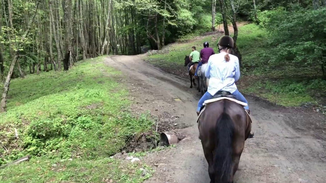 Horseback Riding In Transylvania With eTours.ro
