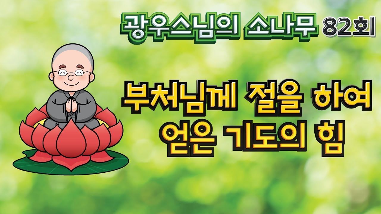 부처님께 절을 하여 얻은 기도의 힘 | 광우스님 소나무 82회