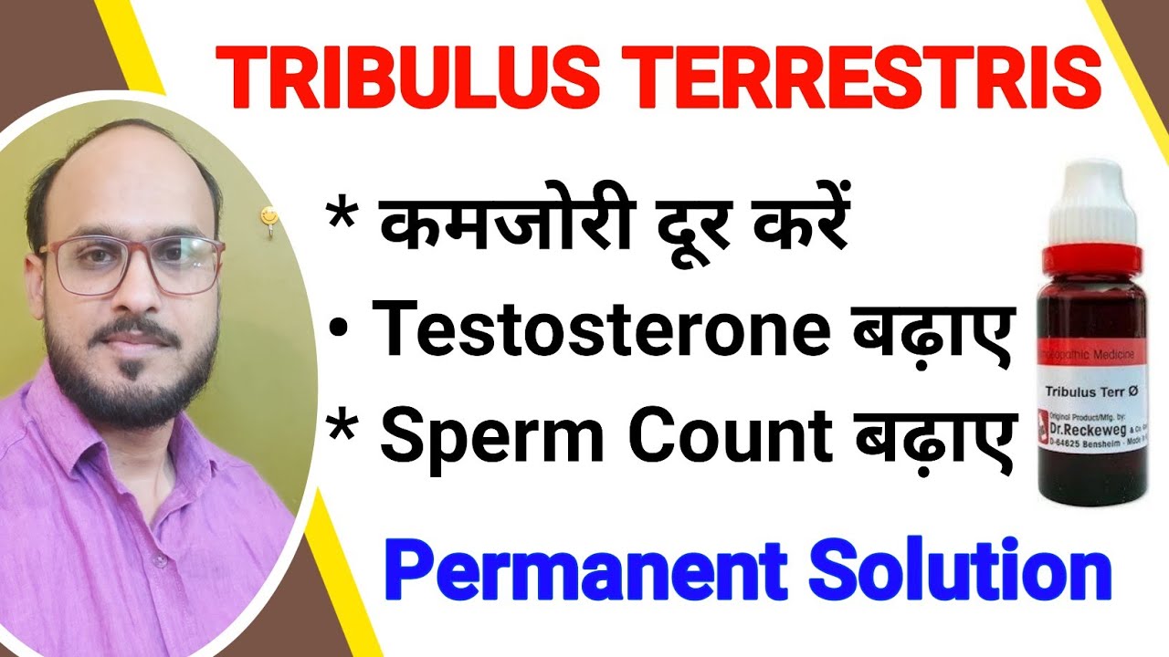 TERRESTRIS Q benefits / Tribulus Terrestris / गोखरू / गोखरू के फायदे #gokhru kadha ke fayde