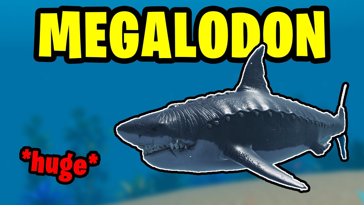 THE NEW MEGALODON IS *HUGE* | ROBLOX: SHARKBITE 2