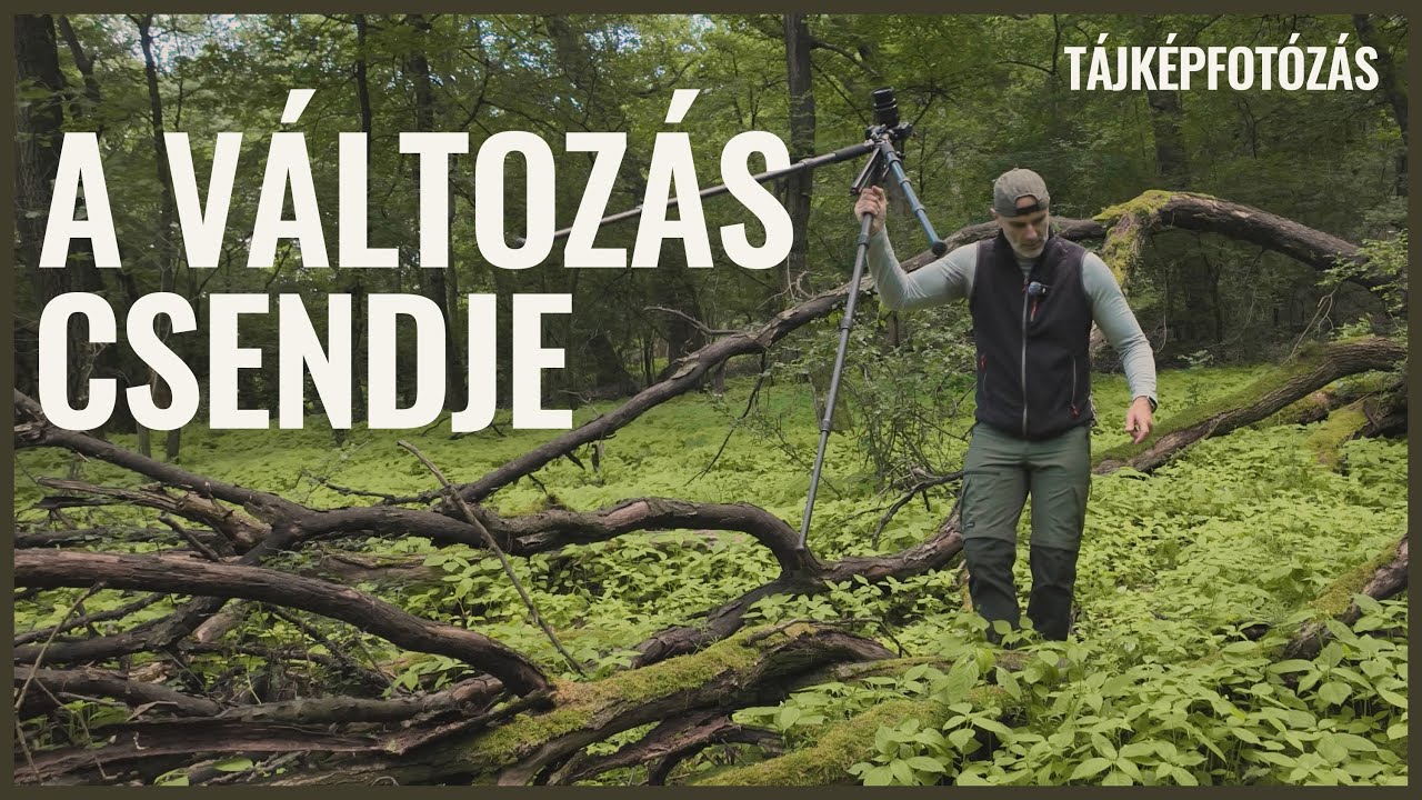 A változás csendje