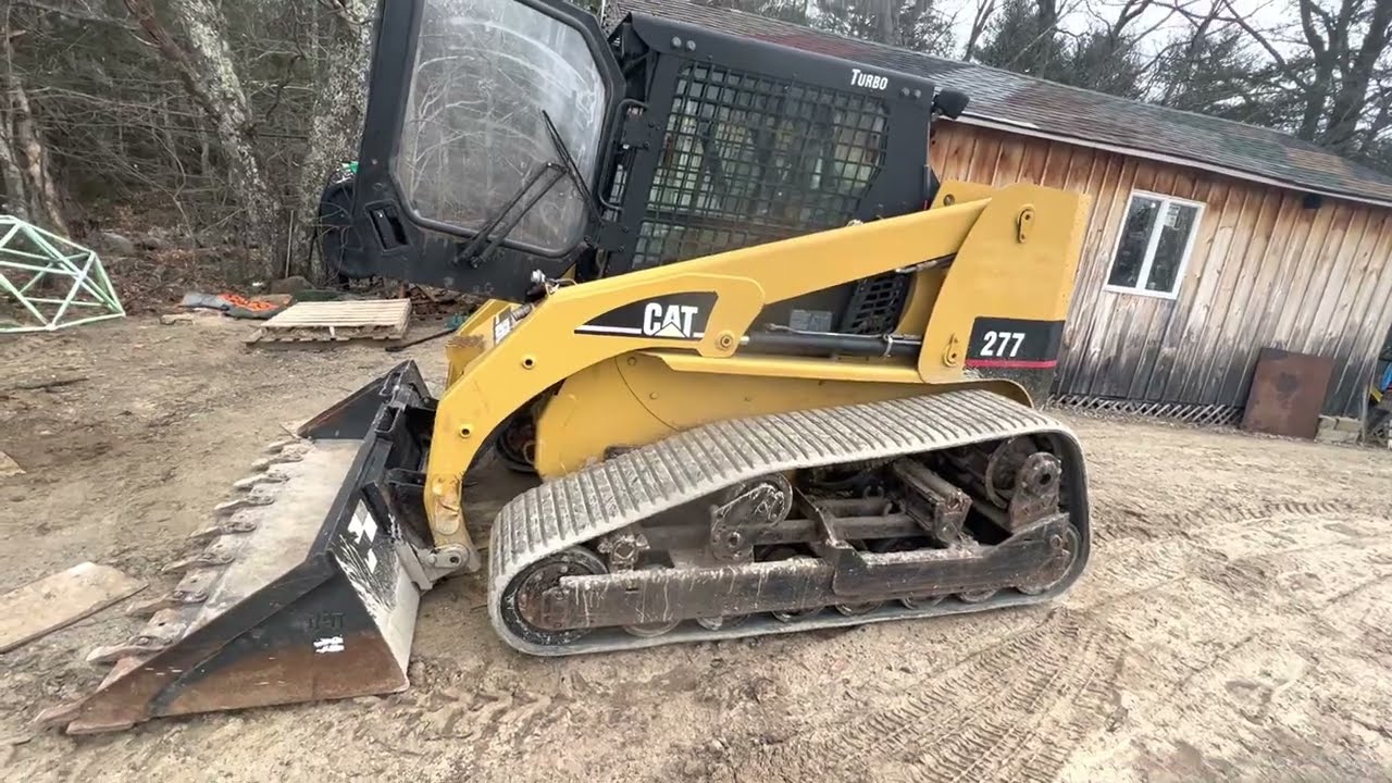 Cat 277 auction find