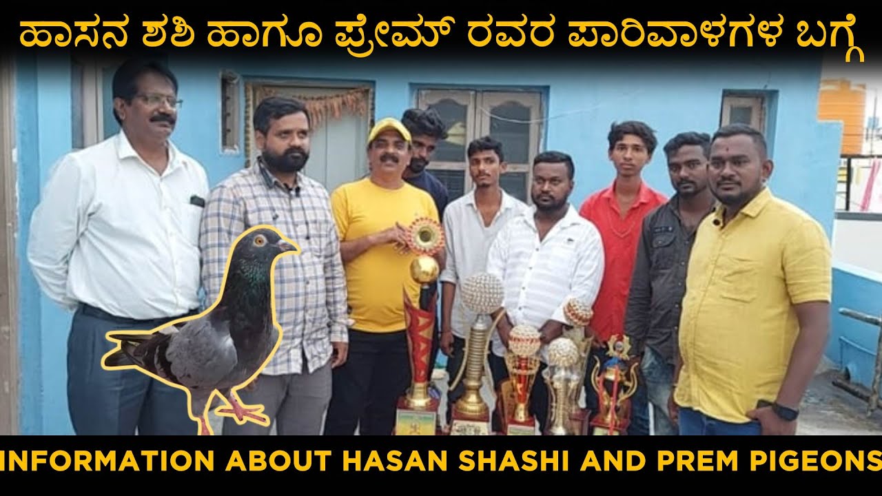 ಹಾಸನ ಶಶಿ ಹಾಗೂ ಪ್ರೇಮ್ ರವರ ಪಾರಿವಾಳಗಳ ಬಗ್ಗೆ | Information about hasan shashi and prem pigeons