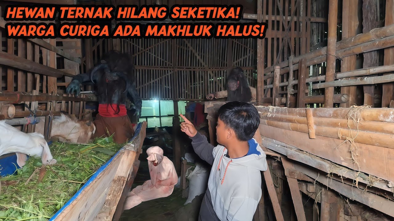 WARGA GEGER!! HEWAN TERNAK MATI DAN HILANG SEKETIKA,DIDUGA TUMBAL PESUGIHAN!