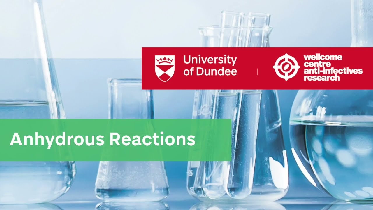 How to set-up anhydrous chemical reactions using a vacuum line and a nitrogen balloon