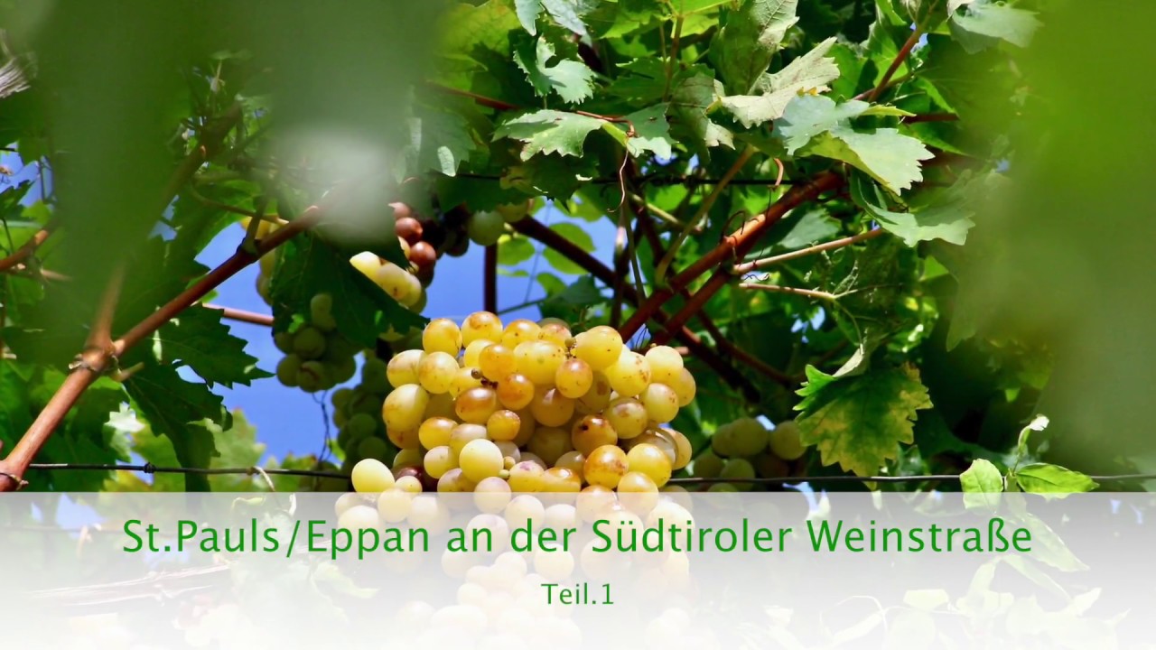 „Ein Juwel in Südtirol“ St.Pauls - Eppan