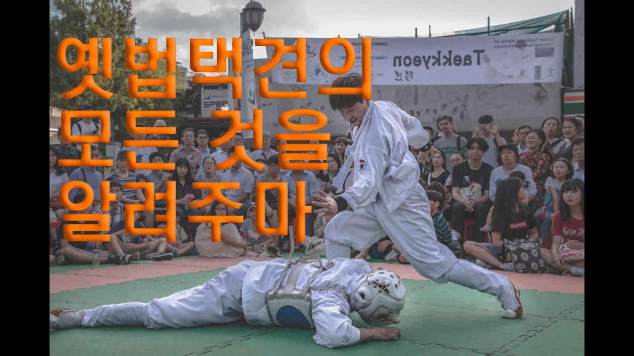 이 영상을 안보고는  옛법택견에 대해서 말하지 말라. 가장 발전하는 전통무예[Master Hwang TV]