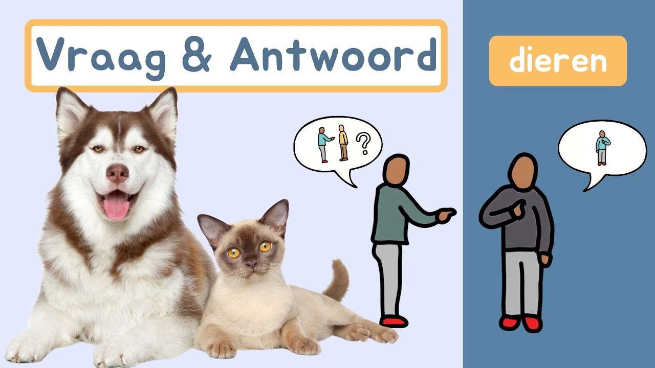 Vraag & Antwoord | Dieren | Zinnen Maken | Thema 10