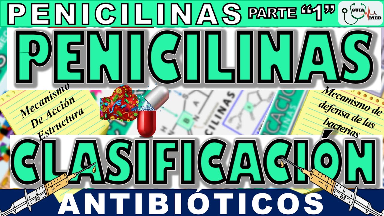 PENICILINAS CLASIFICACIÓN Y MECANISMO DE ACCIÓN | GuiaMed