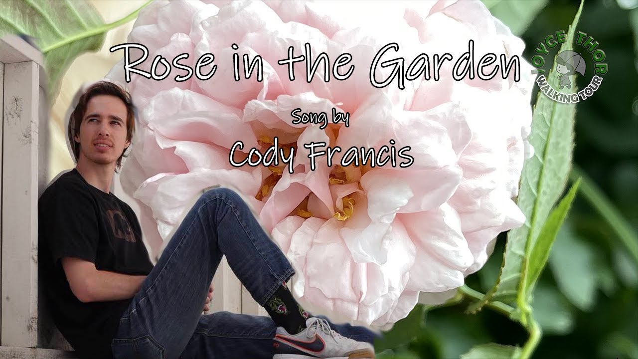 Rose in the Garden - Cody Francis | Video Lyrics | Acoustic
