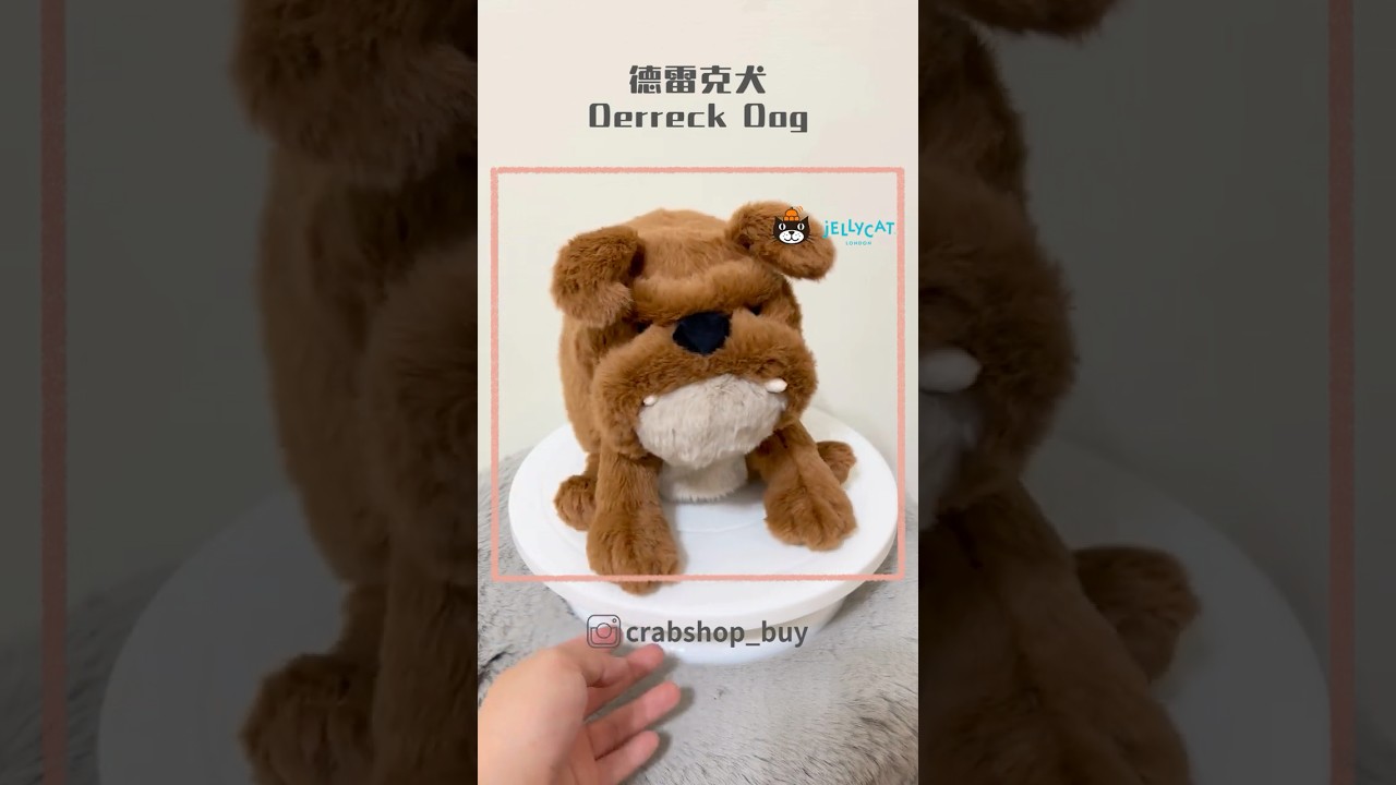 這隻狗的臉太有戲！Jellycat 德雷克犬開箱笑死我了🐶 #Jellycat #DerreckDog #狗狗娃娃 #角色系娃娃 #娃娃開箱 #crabshop #療癒小物