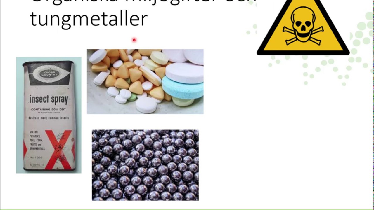Milj&ouml;problem