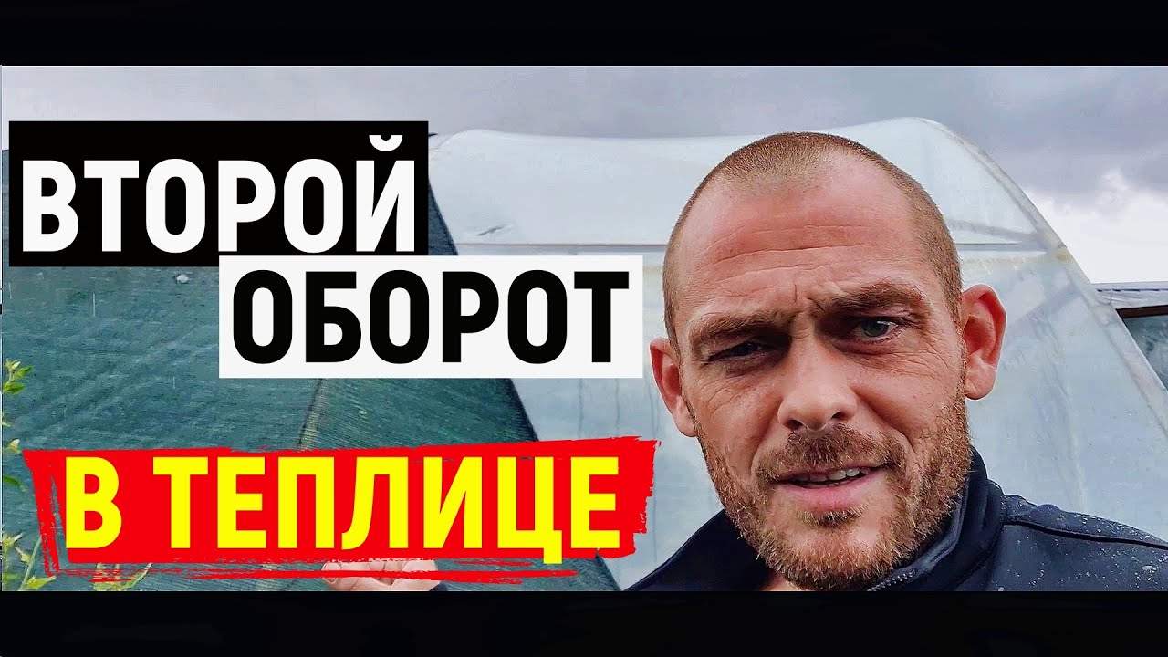 ЧТО ПОСЕЯЛИ НА ВТОРОЙ ОБОРОТ ❓❗ УБОРКА  ОГУРЕЧНОЙ 🥒ТЕПЛИЦЫ.