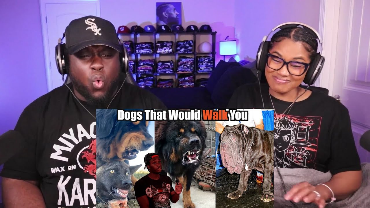 Kidd and Cee Reacts To Dogs That Will Send You to DOG Backwards (Casual Geographic)