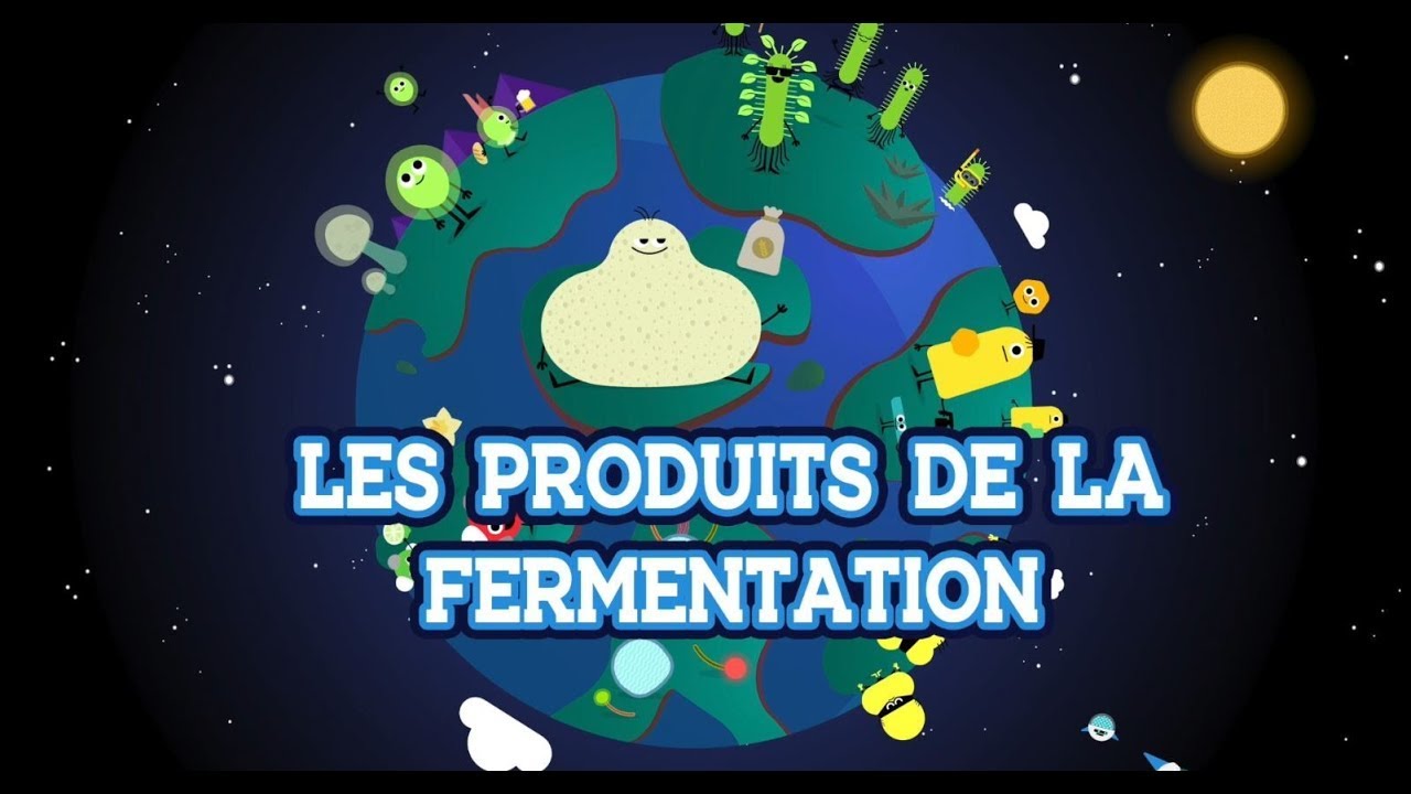 A la découverte des produits de la fermentation – Les bactéries