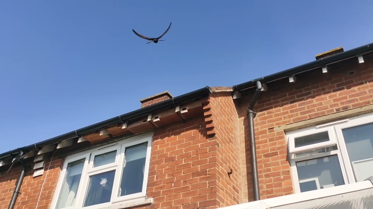 Walkthrough of my Swift boxes