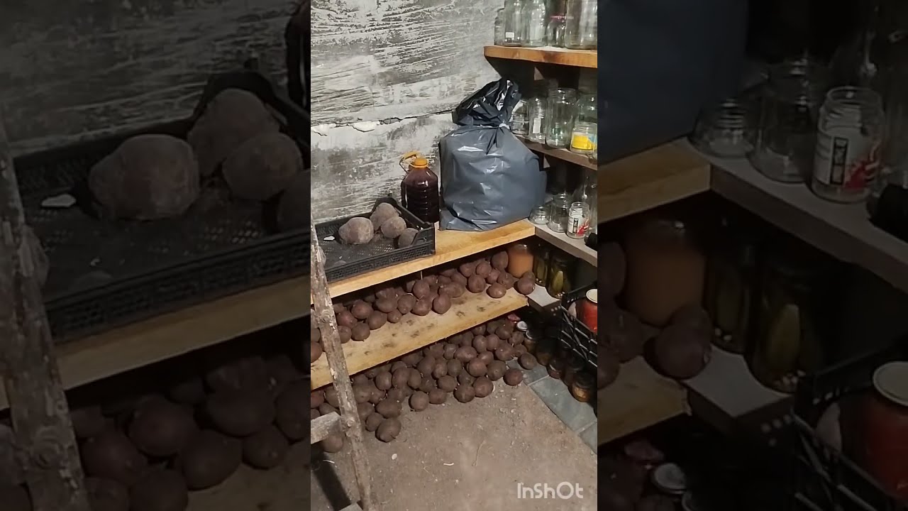 Слишком тëплый погреб, что делать!?  4 февраля 2026 г.
