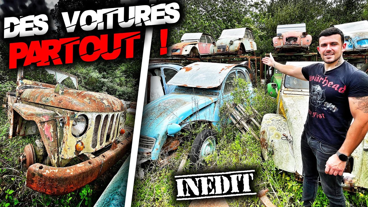 Une casse de voitures de collection ?! Vraiment !?