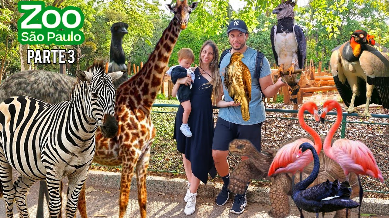 ZOOLÓGICO DE SÃO PAULO