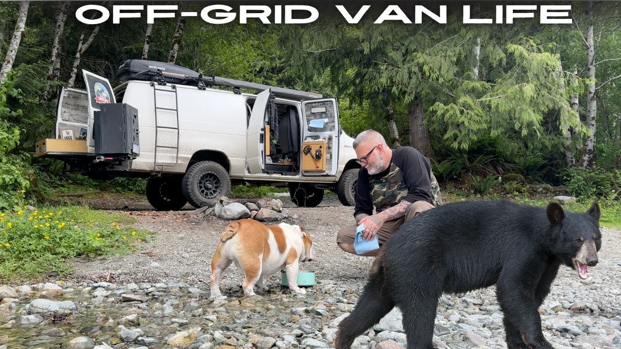 Never Seen So Many Bears In One Area Before | Living Off-Grid In Bear Country