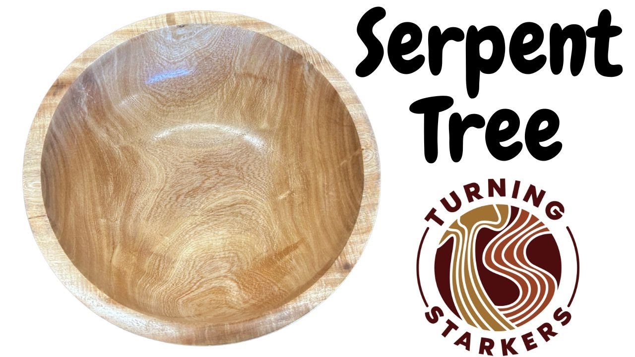 The Surprising Benefits of Turning Radermachera Sinica Wood - Again