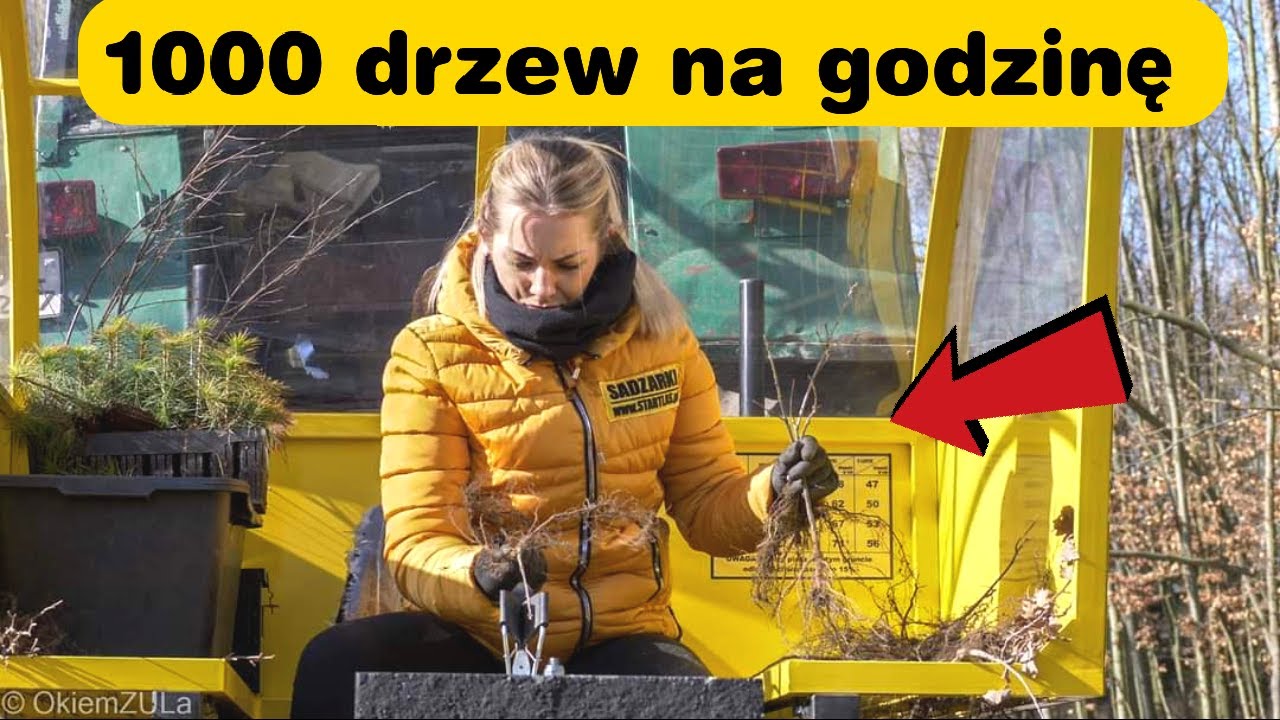 Fakty i mity o sadzarkach leśnych || STARTLAS || Okiem ZULa